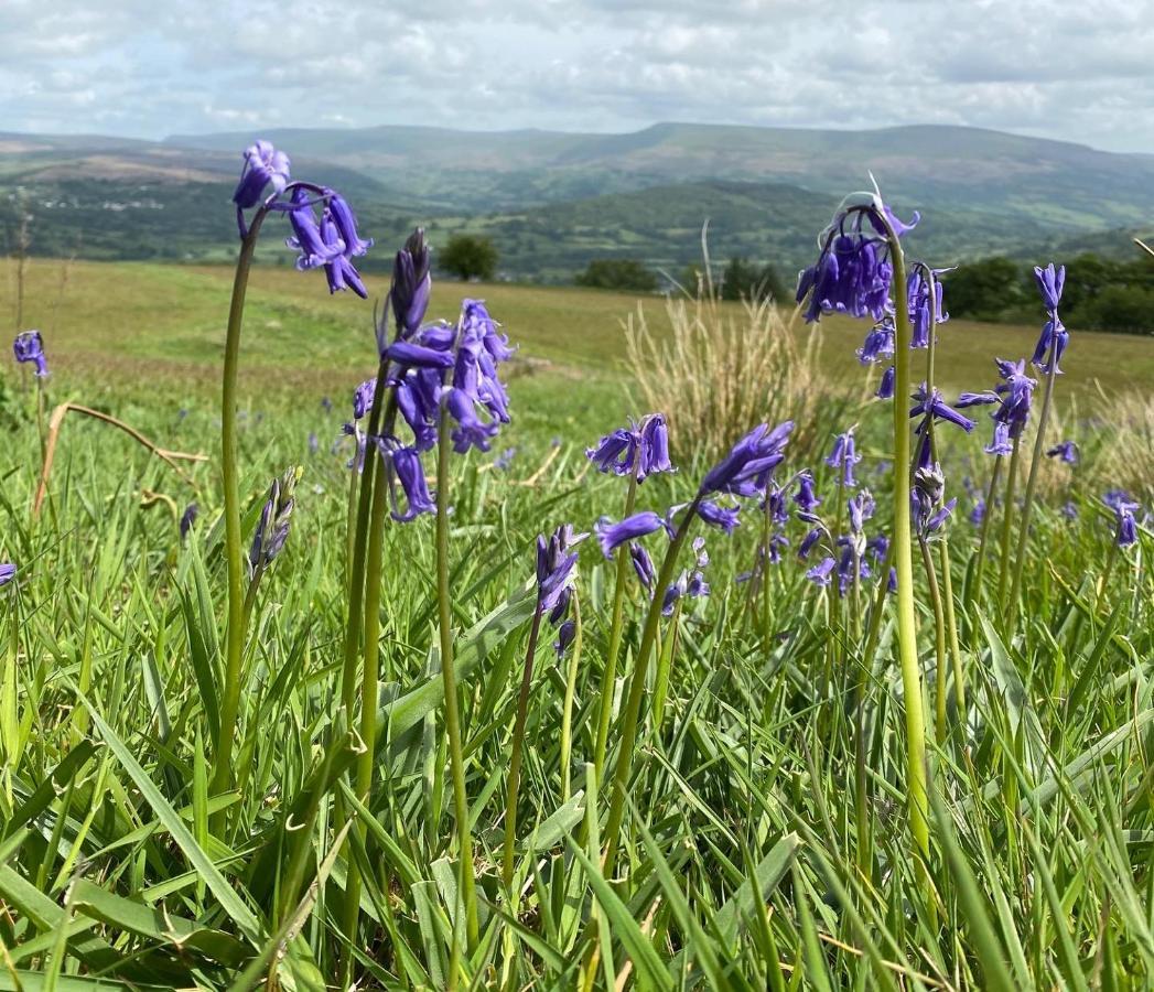 Llangynidr Pant Llwyd Farmヴィラ エクステリア 写真