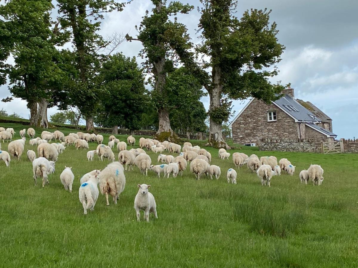 Llangynidr Pant Llwyd Farmヴィラ エクステリア 写真