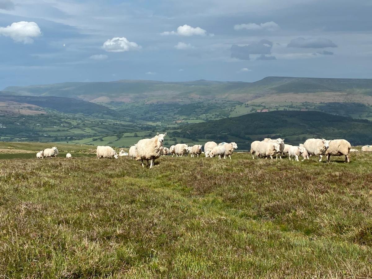 Llangynidr Pant Llwyd Farmヴィラ エクステリア 写真
