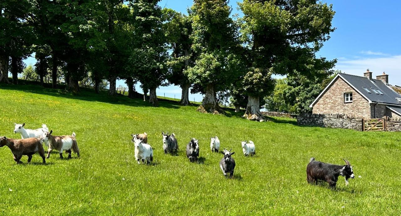 Llangynidr Pant Llwyd Farmヴィラ エクステリア 写真